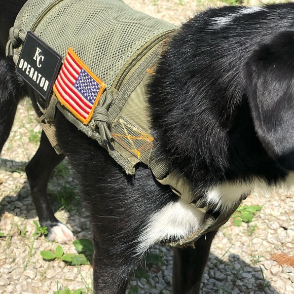 Tactical service dog vest - Picture 5 of 7